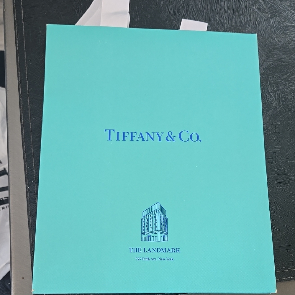 Tiffany & Co. Blue Gift Bag